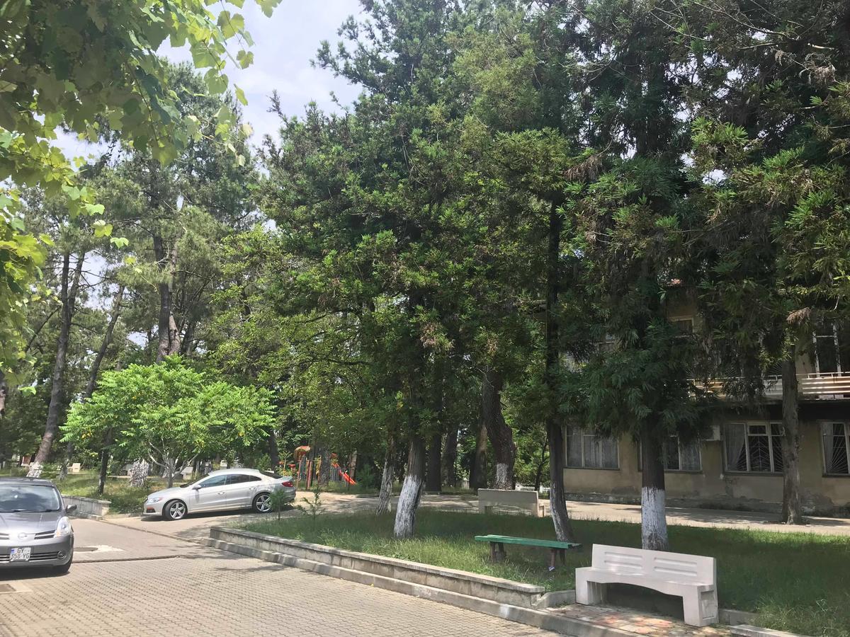 Anna Hostel Kobuleti Exterior foto
